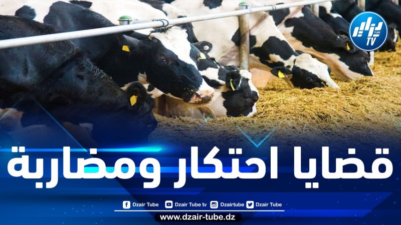 وزارة الفلاحة تحذر من استعمال مادة القمح الصلب واللين في تغذية حيوانية