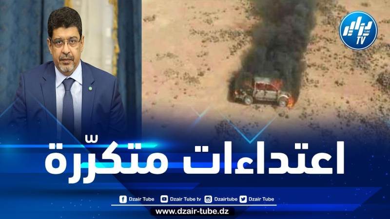 وزير موريتاني سابق يطالب بثني نظام المخزن عن جرائمه ضد المدنيين الموريتانيين العزل