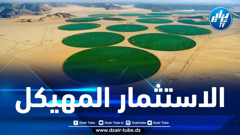 الشروع في توزيع مساحات شاسعة من الأراضي الفلاحية على المستثمرين بالجنوب
