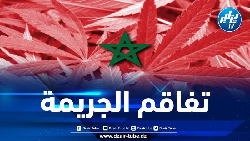 في بلد يحتل صدارة الدول الرئيسية لمنشئه ومغادرته.. حكومة المخزن تمنح تراخيص جديدة لاستغلال القنب الهندي