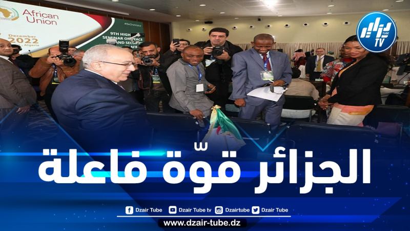 الجزائر لن تدخر جهدا في سبيل إعلاء وترقية مبادئ منظمة الاتحاد الإفريقي خلال تنفيذ الولاية القارية المنوطة بها 
