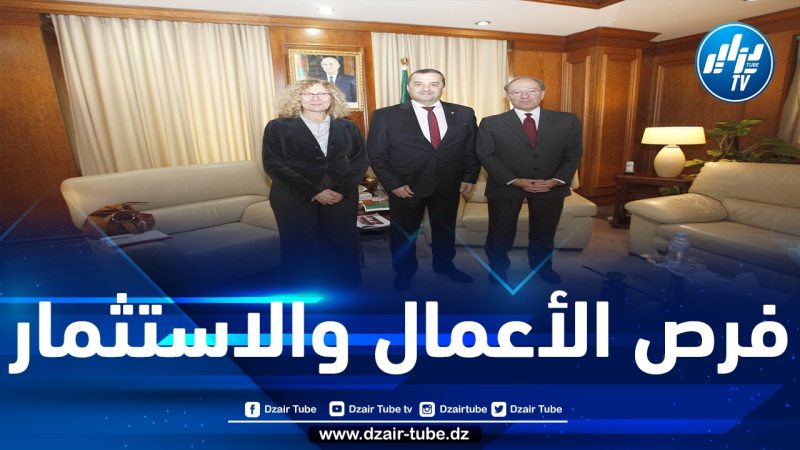 عرقاب يستقبل المديرة التنفيذية لشركة “أنسالدو غرين تك” الإيطالية