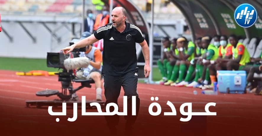 “المحارب” يعود أخيرا و يمنح بلماضي حلولا جديدة في شهر مارس