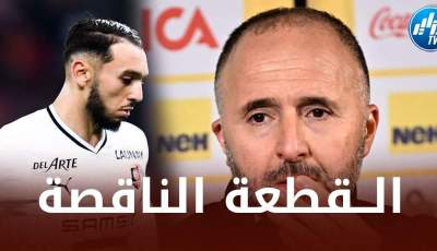 ”أمين غويري” القطعة التي تنقص كتيبة بلماضي للعودة من جديد !