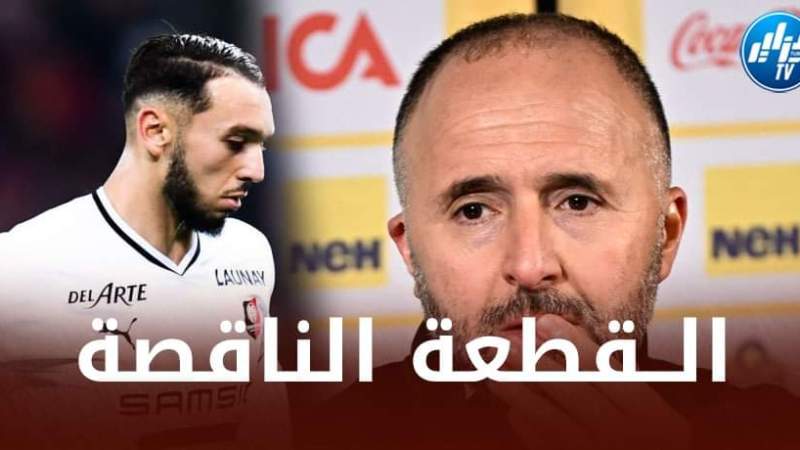 ”أمين غويري” القطعة التي تنقص كتيبة بلماضي للعودة من جديد !
