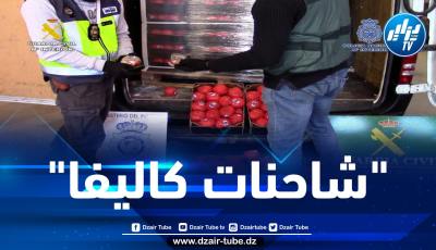 كانت مموهة داخل صناديق طماطم.. بالصور: الأمن الإسباني يحبط محاولة تهريب أكثر من 22 طنا من الكيف القادم من المغرب