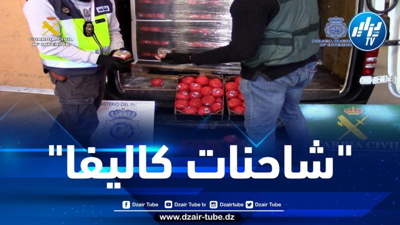 كانت مموهة داخل صناديق طماطم.. بالصور: الأمن الإسباني يحبط محاولة تهريب أكثر من 22 طنا من الكيف القادم من المغرب