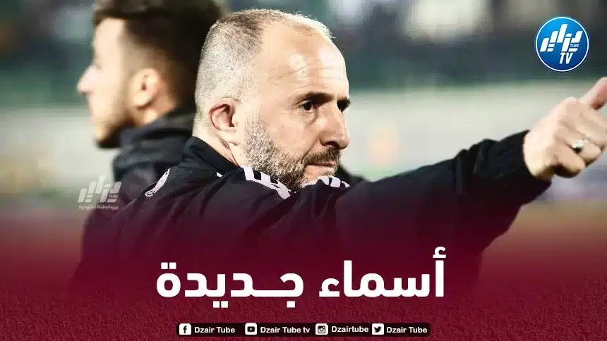 بالــصورة…”هدفا بلماضي” في التشكيلة المثالية للدوري الفرنسي