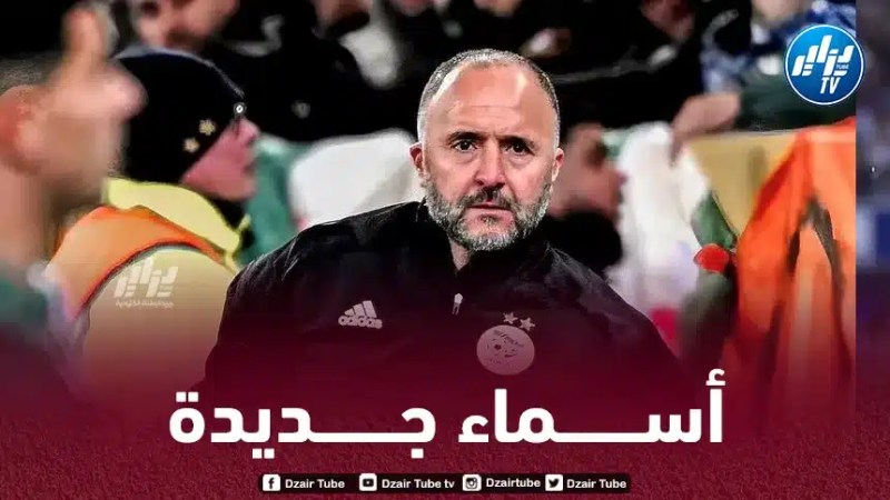 بلماضي يتحرك بـسرعة و يخطف مواهب جديدة من أوروبا !