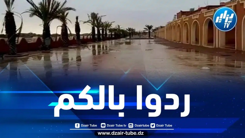 أمطار رعدية غزيرة ورياح على ولايات جنوبية