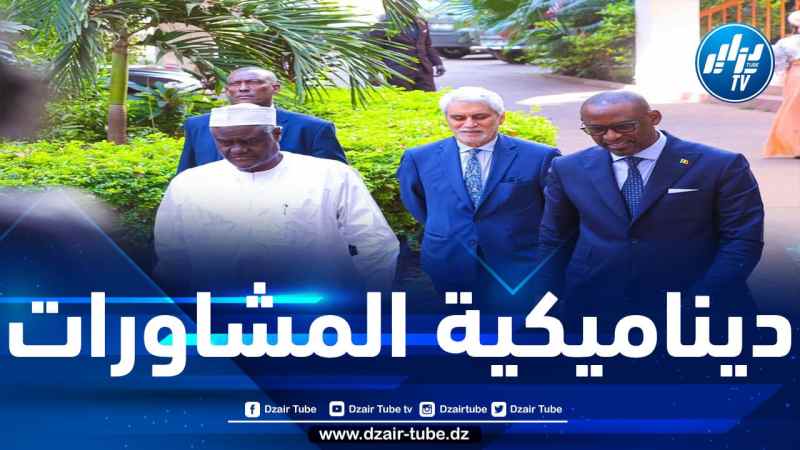 الاتحاد الإفريقي يدعو إلى مواصلة الحوار مع الحركات المالية الموقعة على اتفاق الجزائر