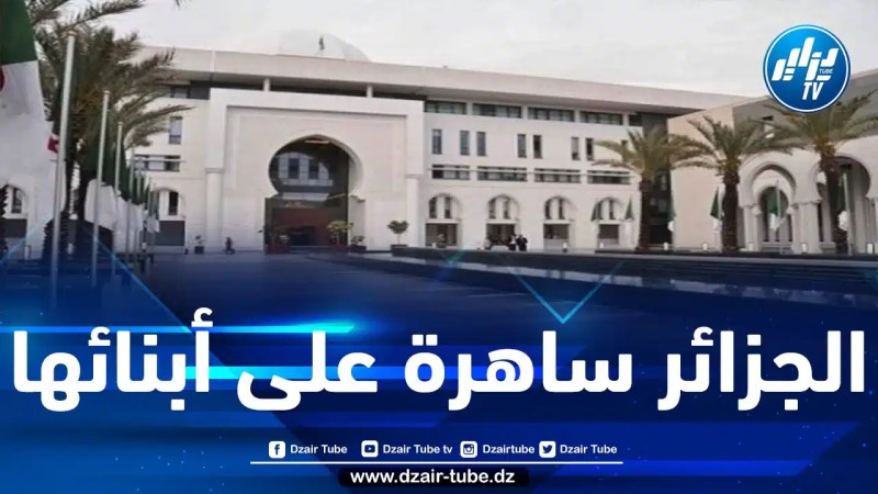 مسؤول بوزارة الخارجية يوضح بخصوص وضعية الجالية الجزائرية في تركيا وسوريا