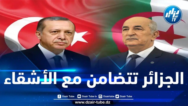 الرئيس تبون يجري مكالمة هاتفية مع نظيره التركي رجب طيب أردوغان