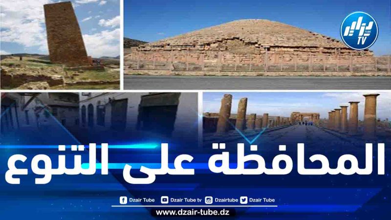 تسليط الضوء على الآليات الدولية التي اعتمدتها الجزائر لحماية حظائرها الثقافية الخمس