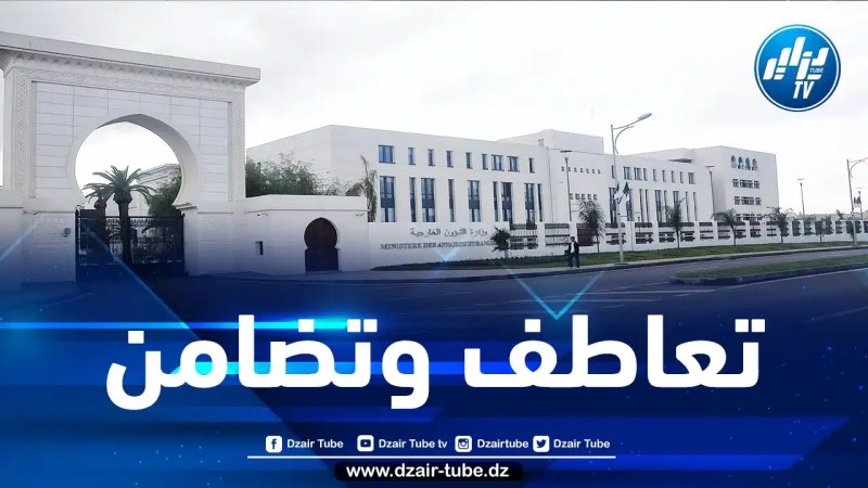 الجزائر تقدّم تعازيها لعائلات ضحايا حرائق الغابات في تشيلي