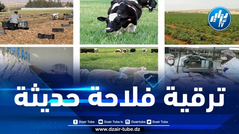 وزير الفلاحة يعرض أمام الحكومة نتائج عملية إحصاء الثروات الفلاحية 