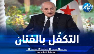 الرئيس تبون يأمر بإثراء مشروع قانون الصناعة السينماتوغرافية