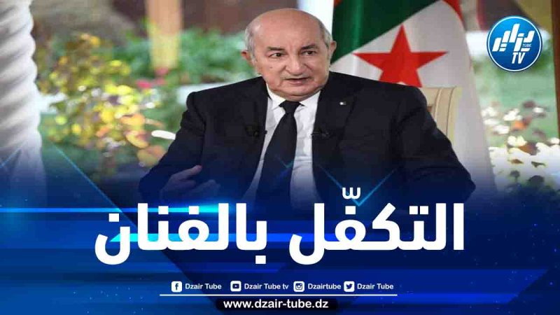 الرئيس تبون يأمر بإثراء مشروع قانون الصناعة السينماتوغرافية