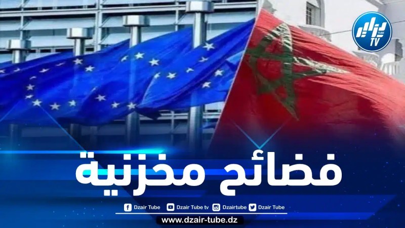 فضيحة مخزنية… برلمانيون مغاربة مطلوبون أمام العدالة البلجيكية