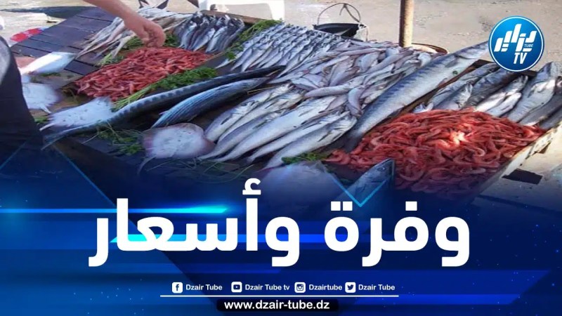 “المنتجات الصيدية تشهد وفرة في الأسواق وتباع بأسعار معقولة”