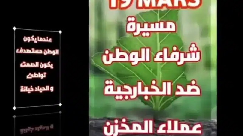 فيديو قوة.. لحمك يشوك …19 مارس 2023 …أبناء الجالية بقوة في مسيرات بأوربا لهذا السبب …