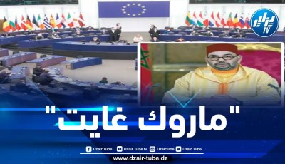 البرلمان الأوروبي ينظر في رفع دعوى قضائية للمطالبة بتعويضات عن الإضرار بسمعته في قضية “ماروك غايت”