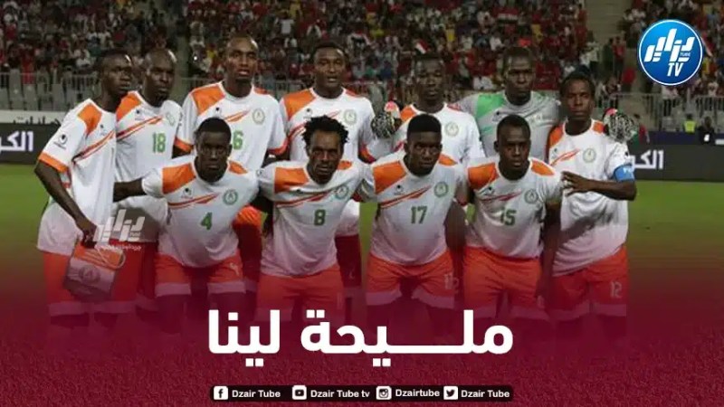 منتخب النيجر يستقر على ملعب إقامة مباراته أمام الجزائر