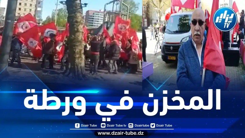 المخزن في ورطة والريفيون ينتفضون لتحقيق الاستقلال… شهادات حصرية لدزاير توب تعري نظام محمد السادس وتكشف حقائق صادمة