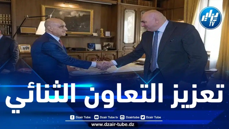 مباحثات حول إمكانية إقامة شراكة جزائرية-إيطالية في قطاع الصناعة العسكرية