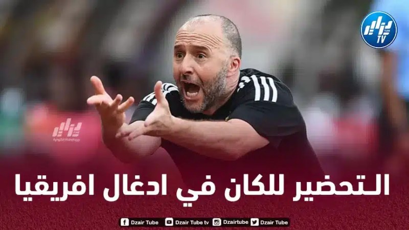 من أجل التحضير ل”كان كوت ديفوار”…بلماضي يخطط للسفر الى ادغال افريقيا