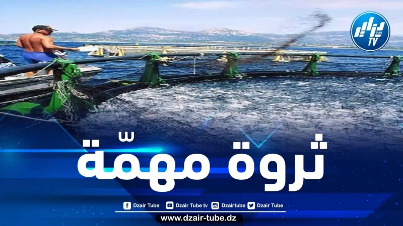 تدابير لمساعدة مهنيي شعبة تربية المائيات لمضاعفة الإنتاج