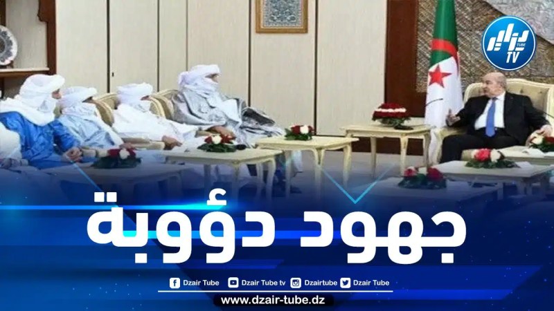 إشادة أمميّة بدور الجزائر المحوري والجهود الحميدة للرئيس تبون في تسوية الأزمة في مالي