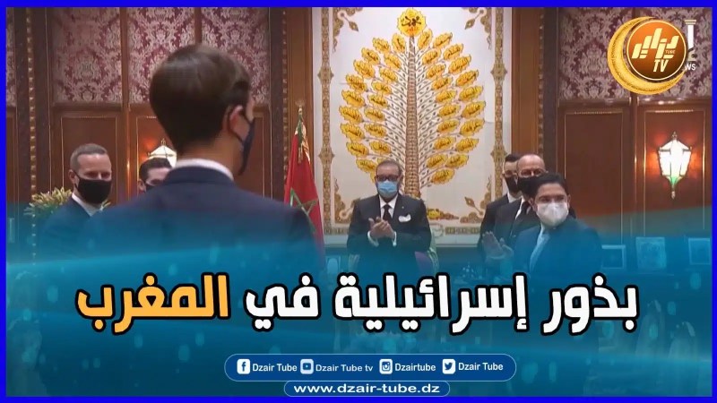 بالفيديو: مآسي الشعب الم.غربي تتواصل ..الأمن الغذائي في حضن الص.هاي.نة..الم.غرب يأكل خبز وخضروات إس.رائ.يل