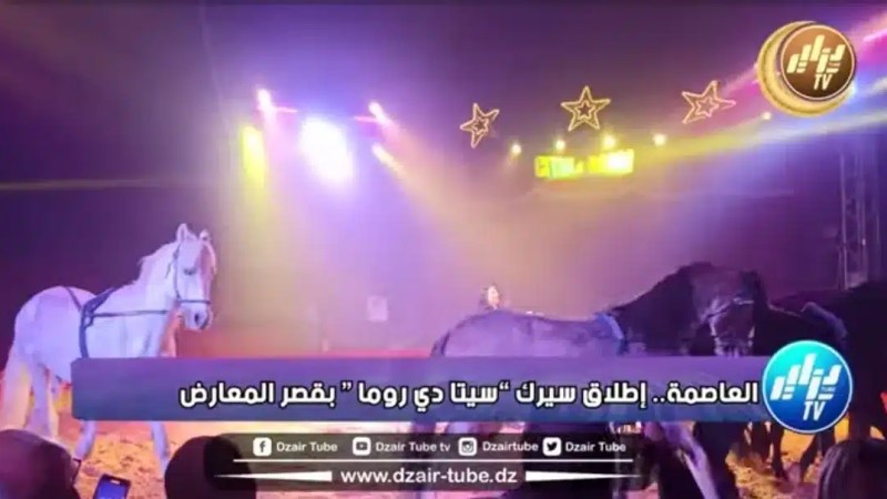 بالفيديو: عروض مثيرة و محترفة .. إطلاق سيرك سيتا دي روما بالجزائر لمدة سنتين