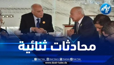محادثات ثنائية بين وزير الخارجية والأمين العام لجامعة الدول العربية
