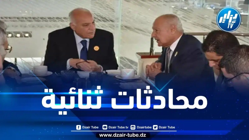 محادثات ثنائية بين وزير الخارجية والأمين العام لجامعة الدول العربية