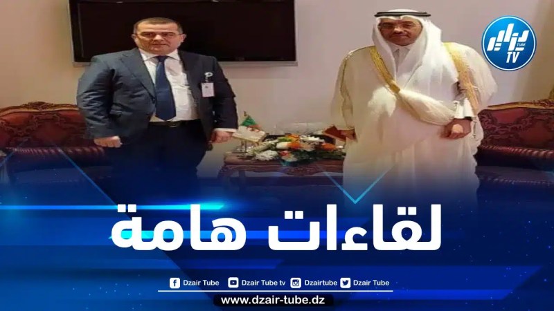 وزير العمل والتشغيل يتباحث مع نظيريه القطري والفلسطيني آفاق التعاون