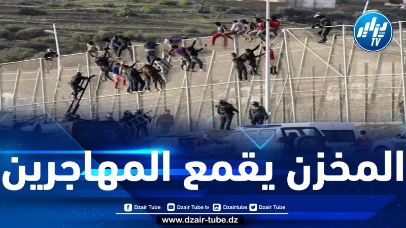 مجلس أوروبا يدعو الحكومة الإسبانية إلى تعليق التعاون مع المغرب في مجال مراقبة الحدود