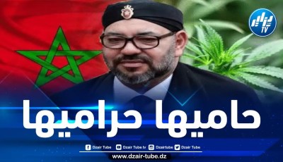 المغرب أكبر منتج للحشيش يُنتخب لرئاسة الهيئة الدولية لمراقبة المخدرات!!