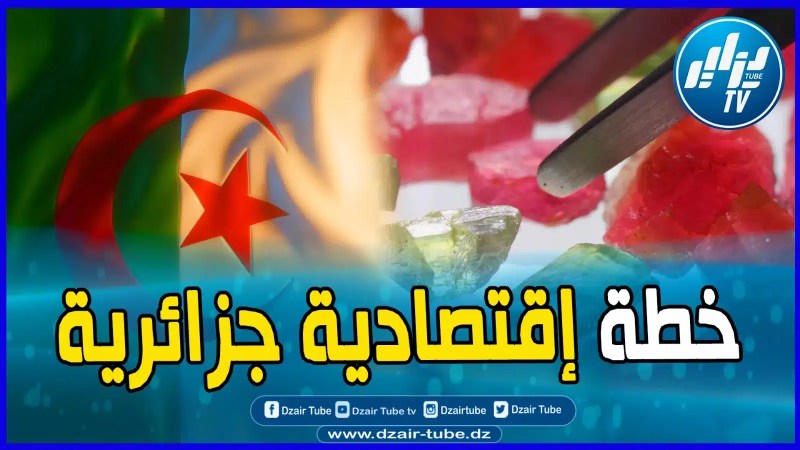 مفاجآت من العيارالثقيل فيديوغرافيك لقناة دزايرتوب يكشف خطة إقتصادية لإستخراج 14 مادة معدنية ومنجمية