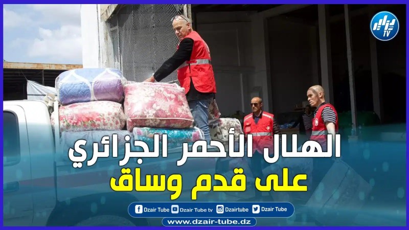 بالفيديو: هكذا هم الأبطال على قدم وساق..الهلال الأحمر الجزائري يقوم بتقديم مساعدات لصالح المنكوبين