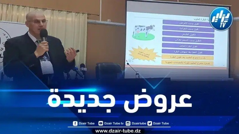 على لسان مديرها المركزي… الجزائرية للتأمينات تعلن عن الجديد فيما يخص الحلول التأمينية للأبقار الحلوب
