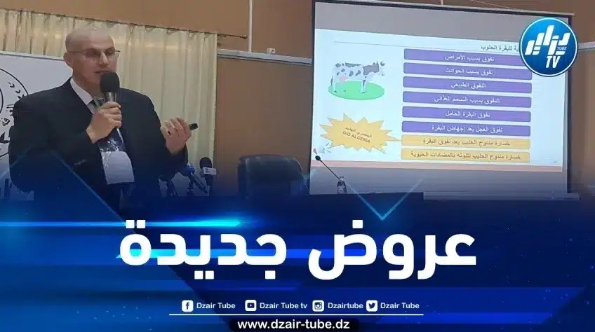 على لسان مديرها المركزي… الجزائرية للتأمينات تعلن عن الجديد فيما يخص الحلول التأمينية للأبقار الحلوب