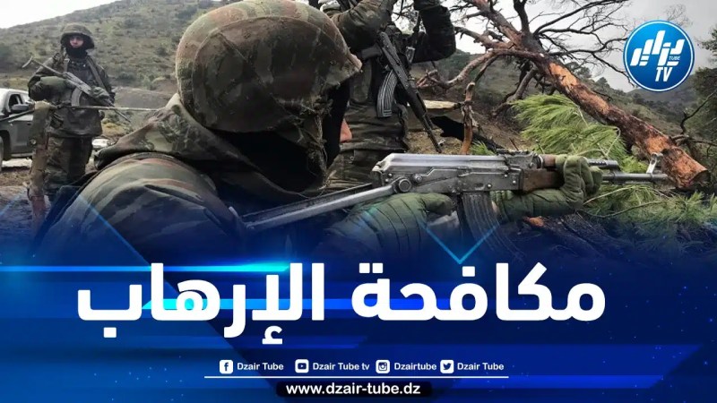 توقيف 13 عنصر دعم للجماعات الإرهابية