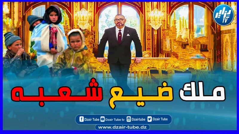 بالفيديو: لالة سلمى تعلن الح/رب على مي/مي 6.. فيديو غرافيك لقناة دزاير توب ي/فضح الملك الم/خ/ز/ني