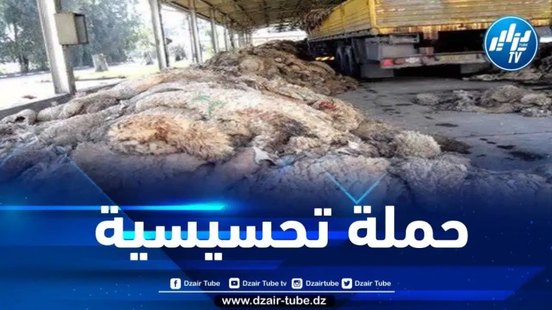 وزارة الصناعة تطلق حملة تحسيسية بخصوص عملية جمع جلود أضاحي العيد