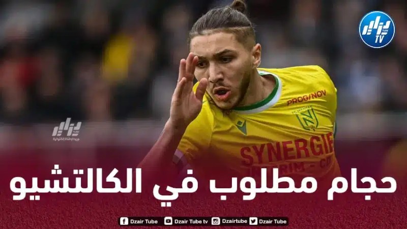 حجام مطلوب في الكالتشيو