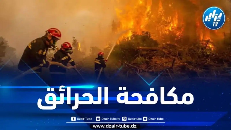 وزارة الفلاحة ترفع درجة التأهب إلى القصوى لمكافحة حرائق الغابات