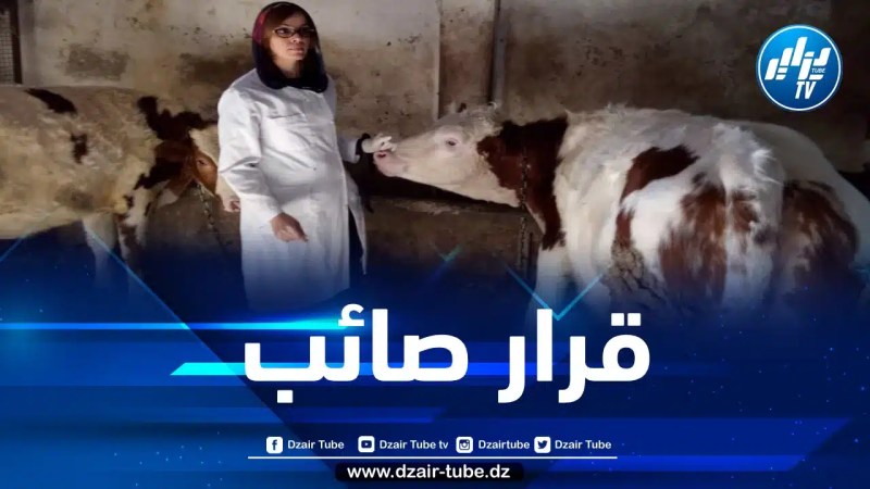 في تصريح لدزاير توب: الخبيرة جعفري تثمن قرار وزارة الفلاحة المتعلق بمنح التراخيص الصحية لاستيراد العجول