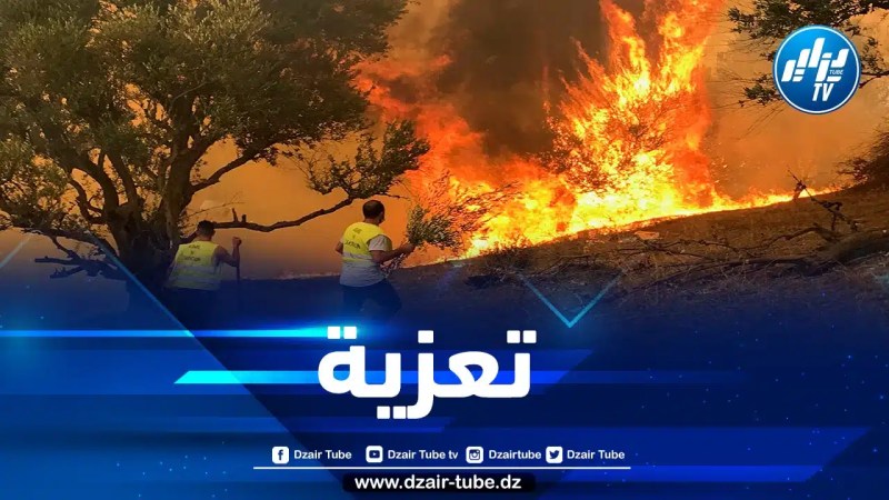 تركيا والصين تعزيان الجزائر في ضحايا الحرائق